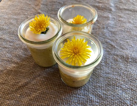 Löwenzahnblüten-Cheesecake