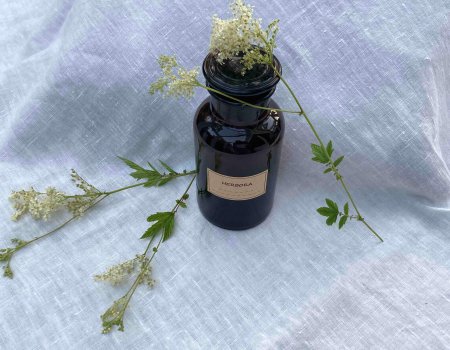 Mädesüß-Oxymel jpeg